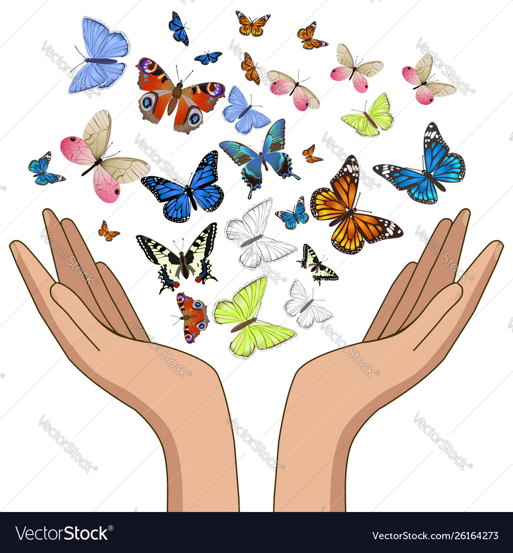 Hands releasing colorful butterflies isolate