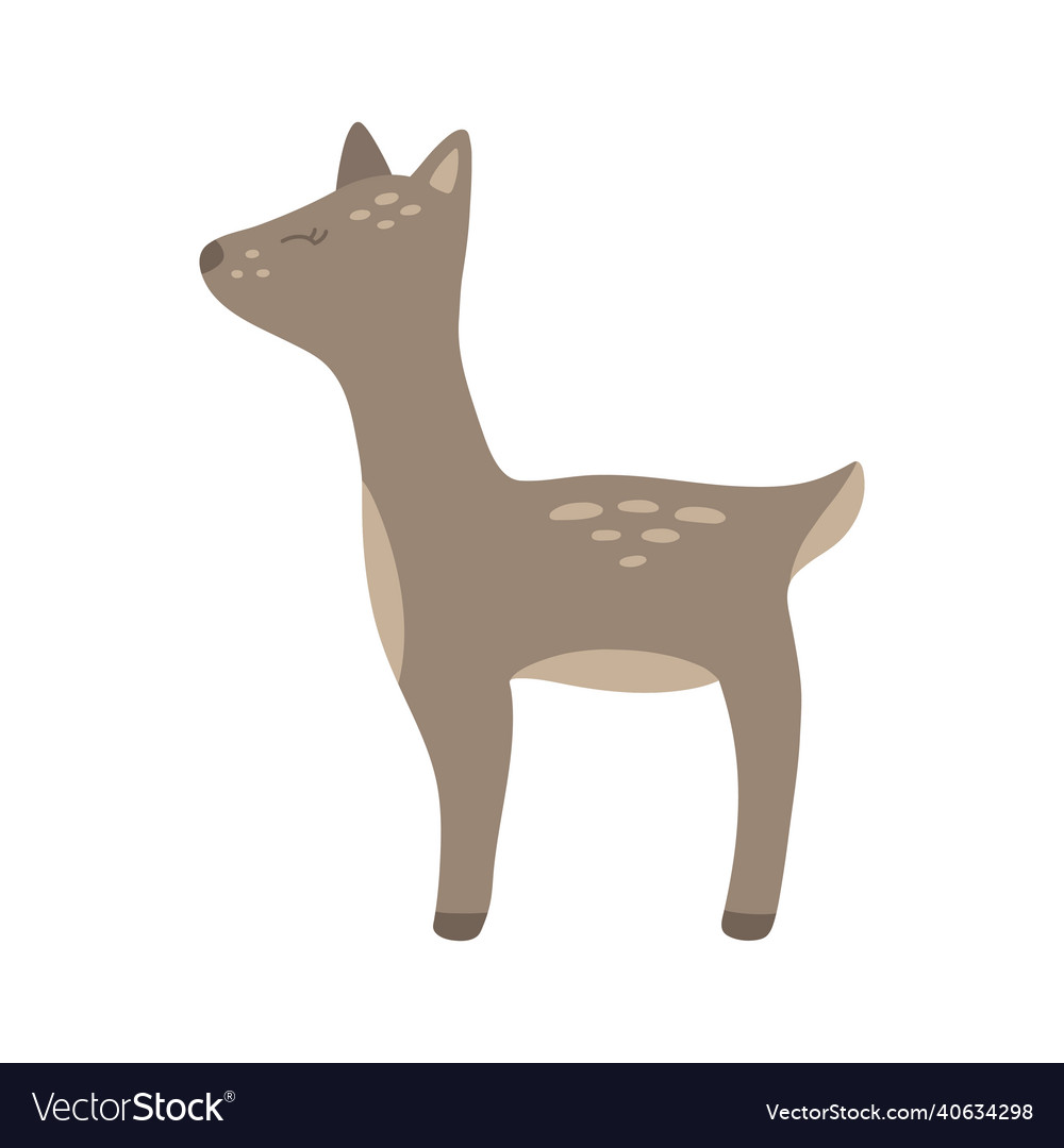 Cute doe derr fawn animal