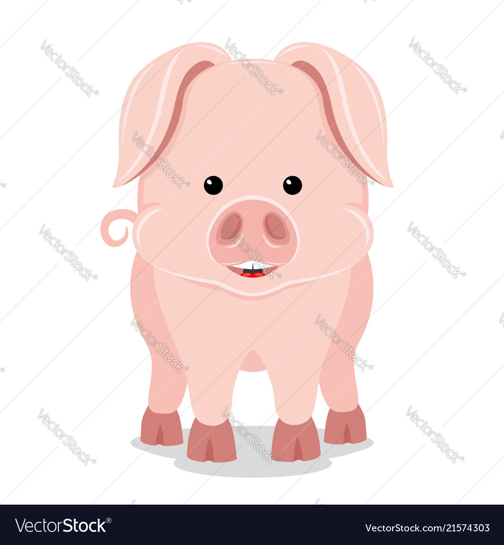 Cute pig smiling