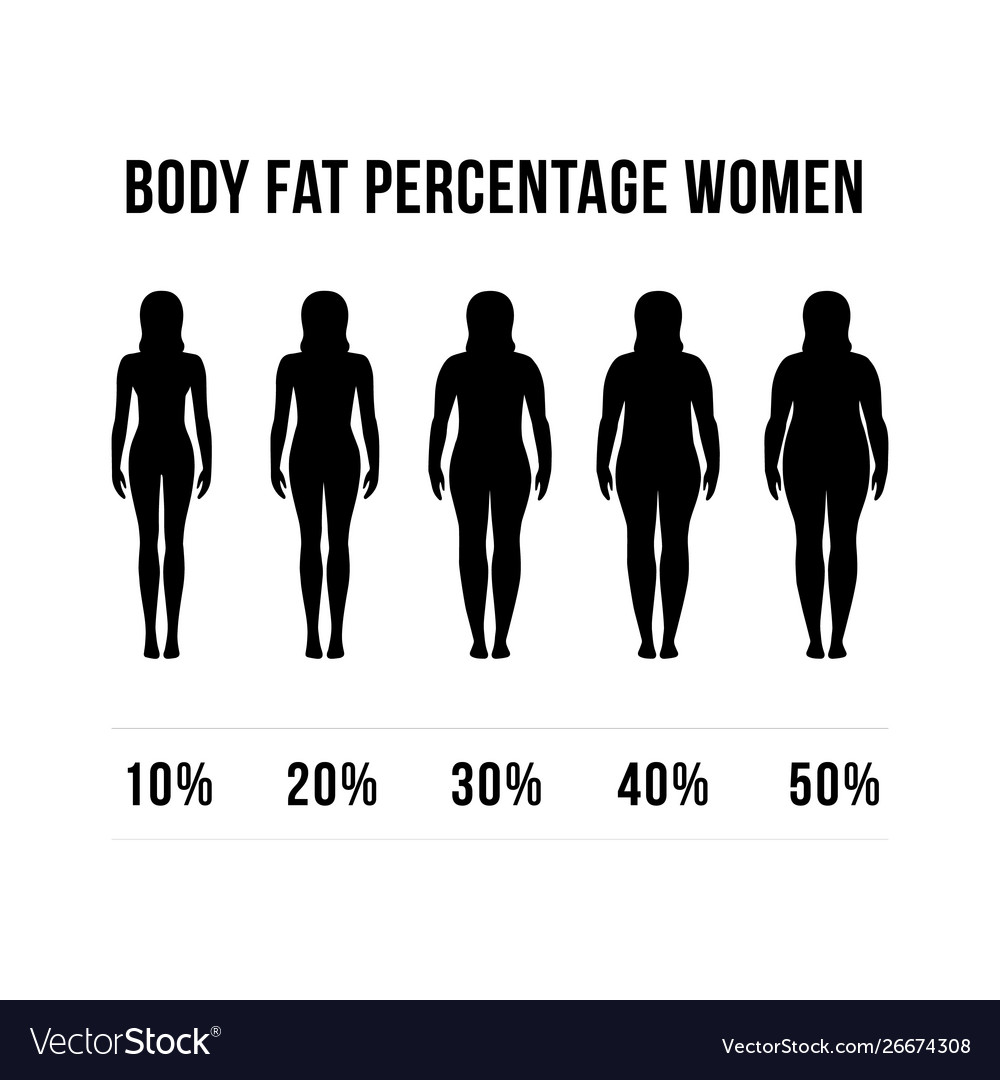 Body fat percentage woman designs concept woman Vector Image