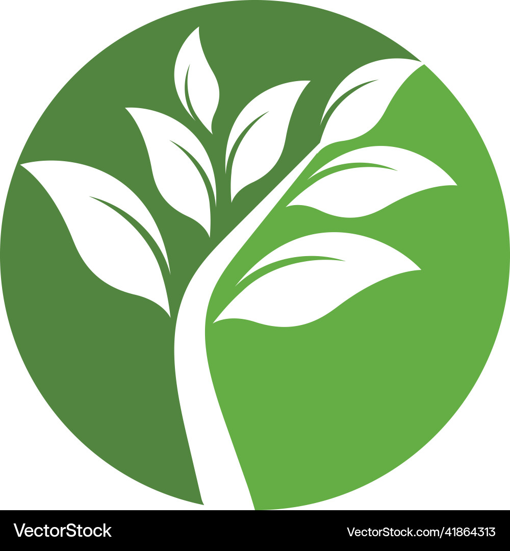 Eco tree leaf Royalty Free Vector Image - VectorStock