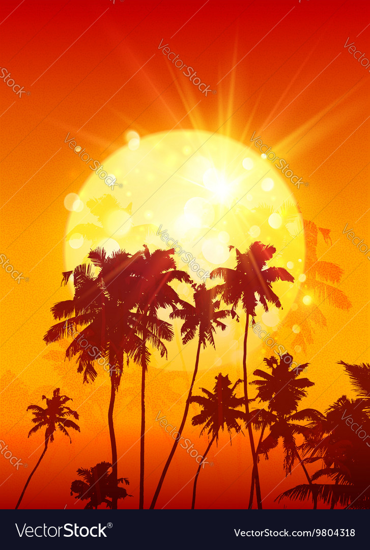 yellow shining moon with black palm trees vector image