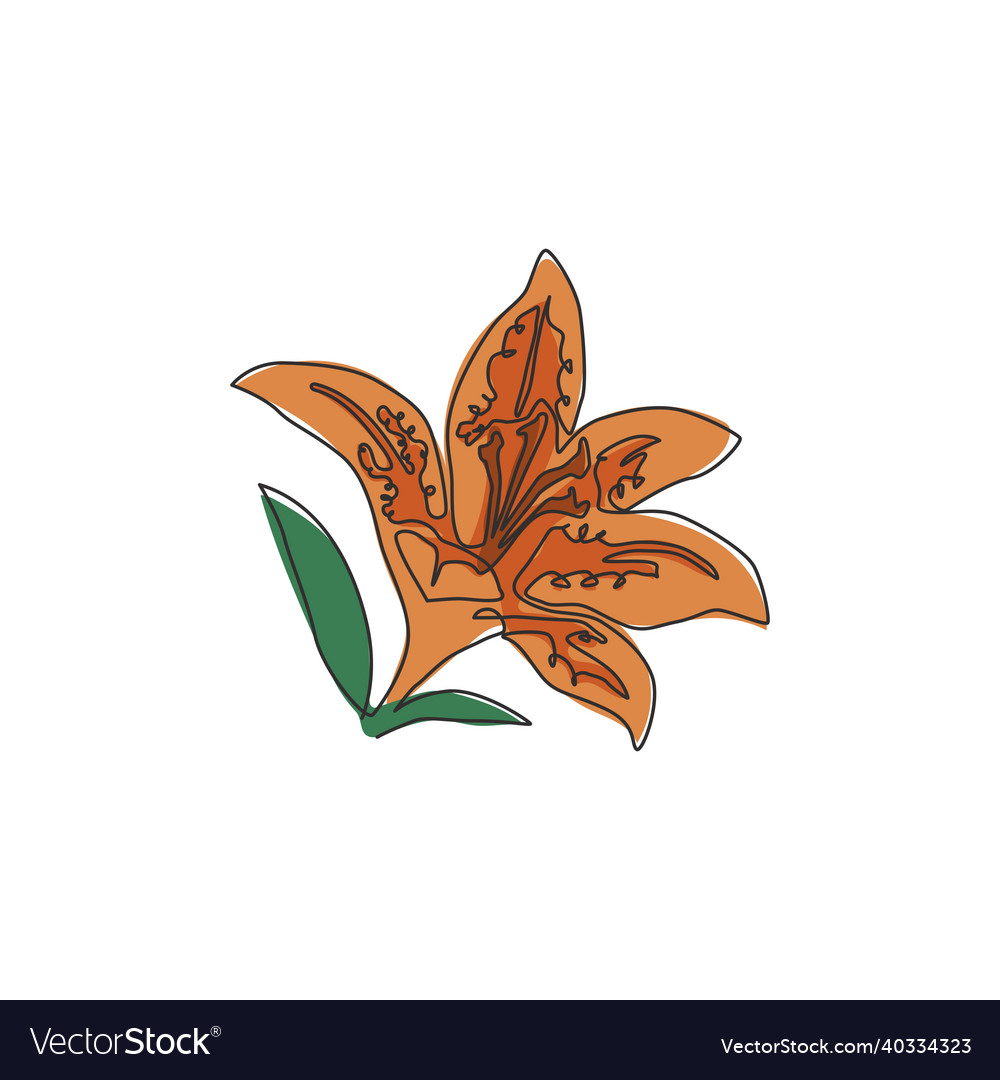 Single One Line Drawing Beauty Fresh Lilium Vector Image