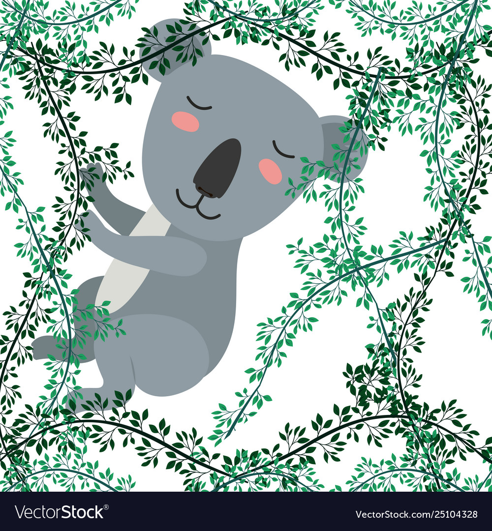 Wild koala in jungle scene