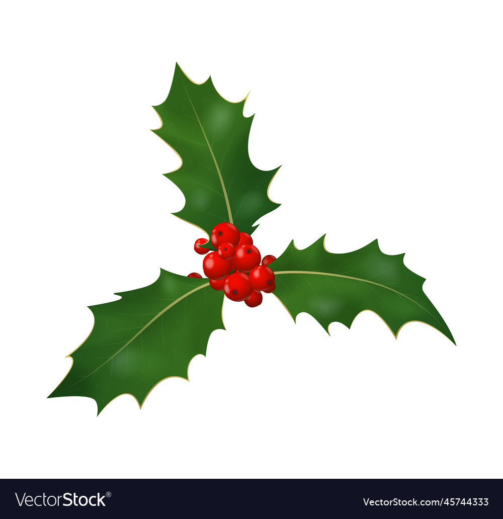 Christmas berries blossom composition Royalty Free Vector