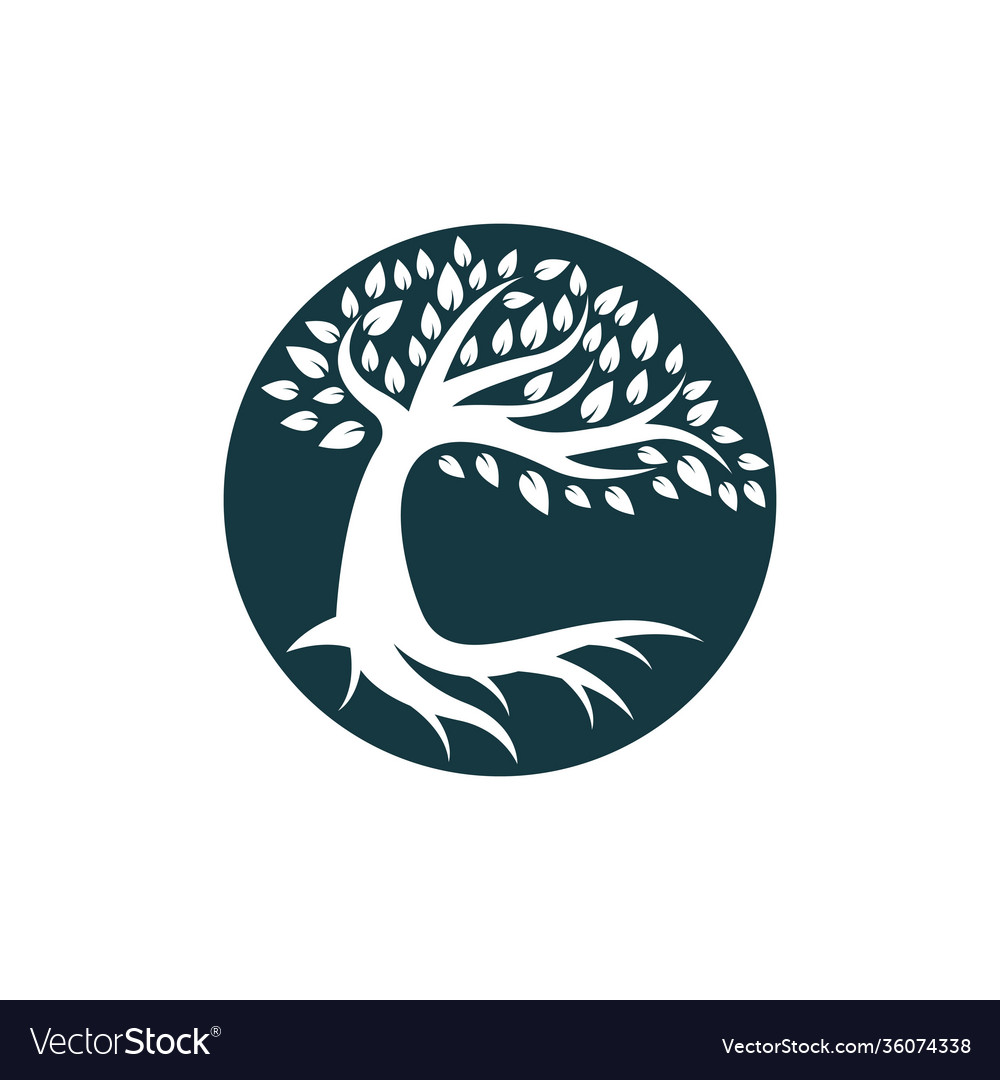 Tree symbol Royalty Free Vector Image - VectorStock