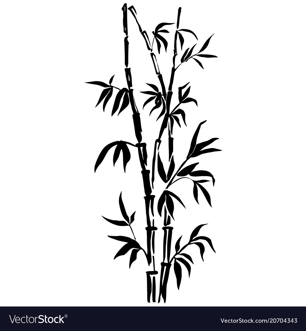Bamboo Leaf Background The Top Of The Bamboo Vector Image