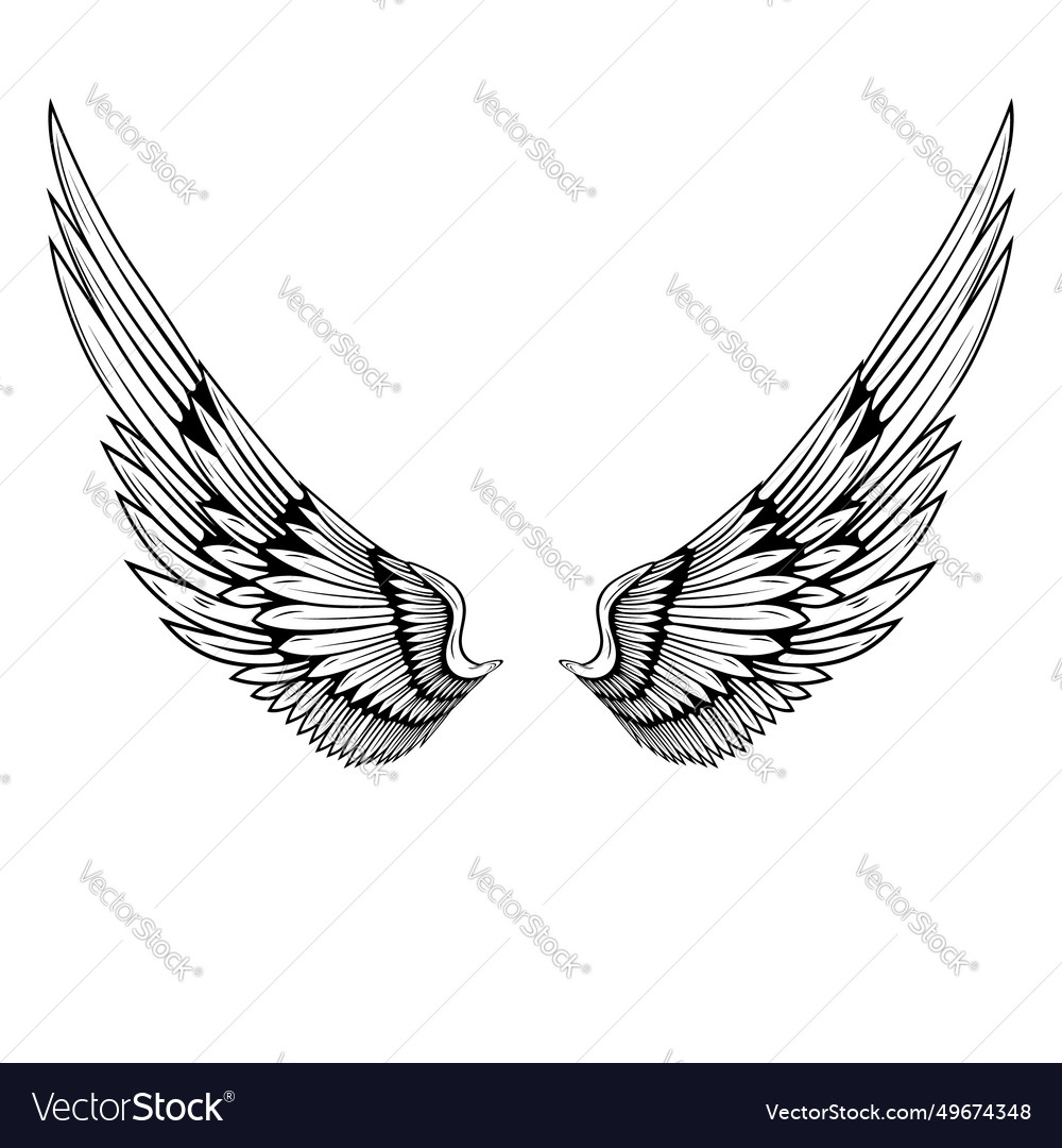 A pair of wings in black and white done Royalty Free Vector