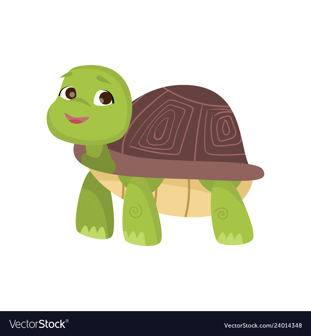 Cute little turtle stands on four paws looking up Vector Image