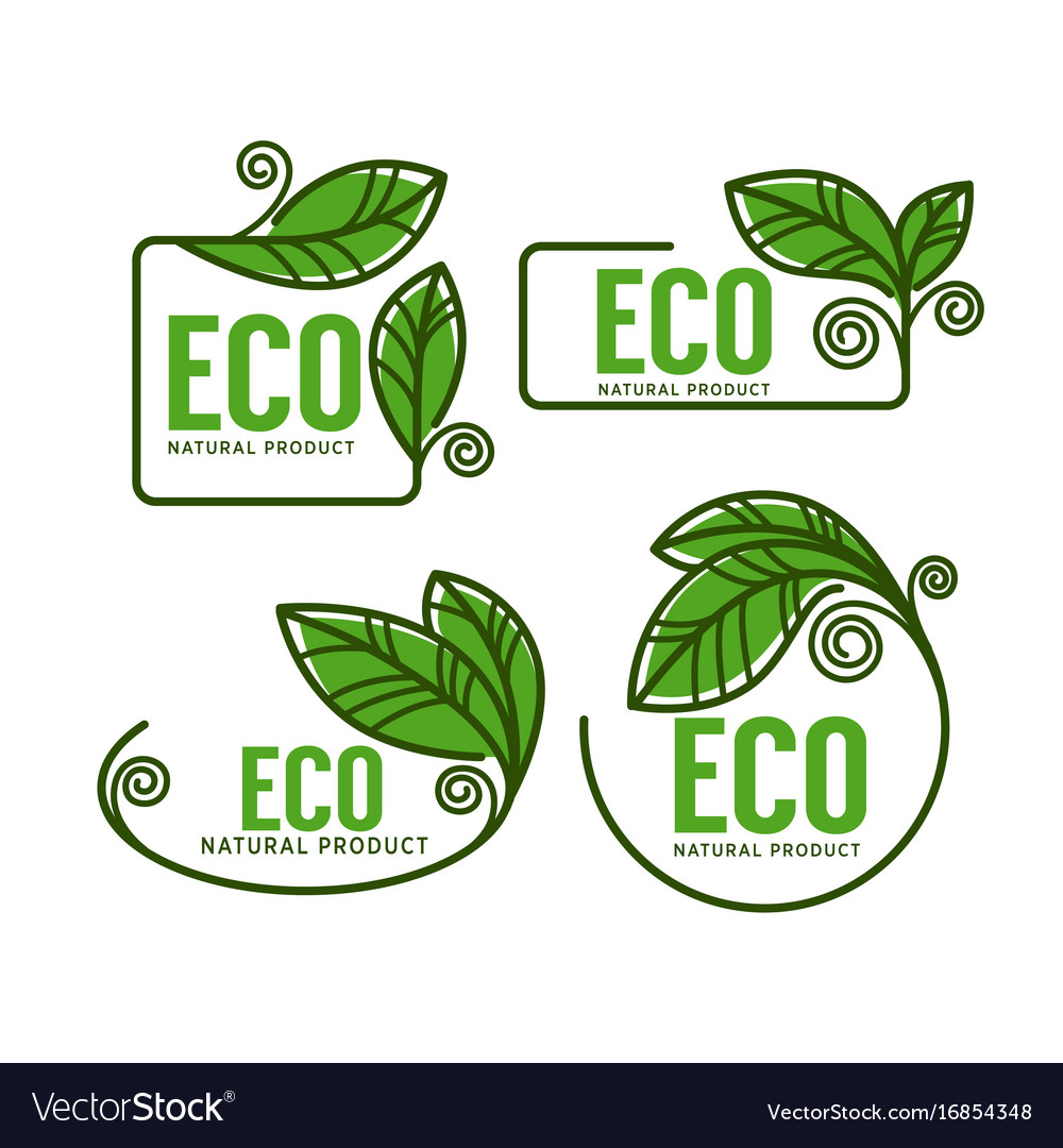 Doodle organic leaves emblems elements frames Vector Image