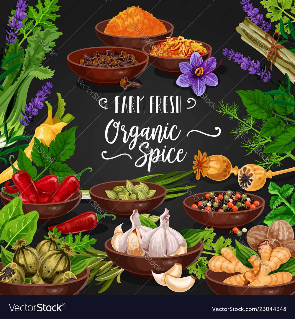 Herbs and spices poster for fresh seasonings shop