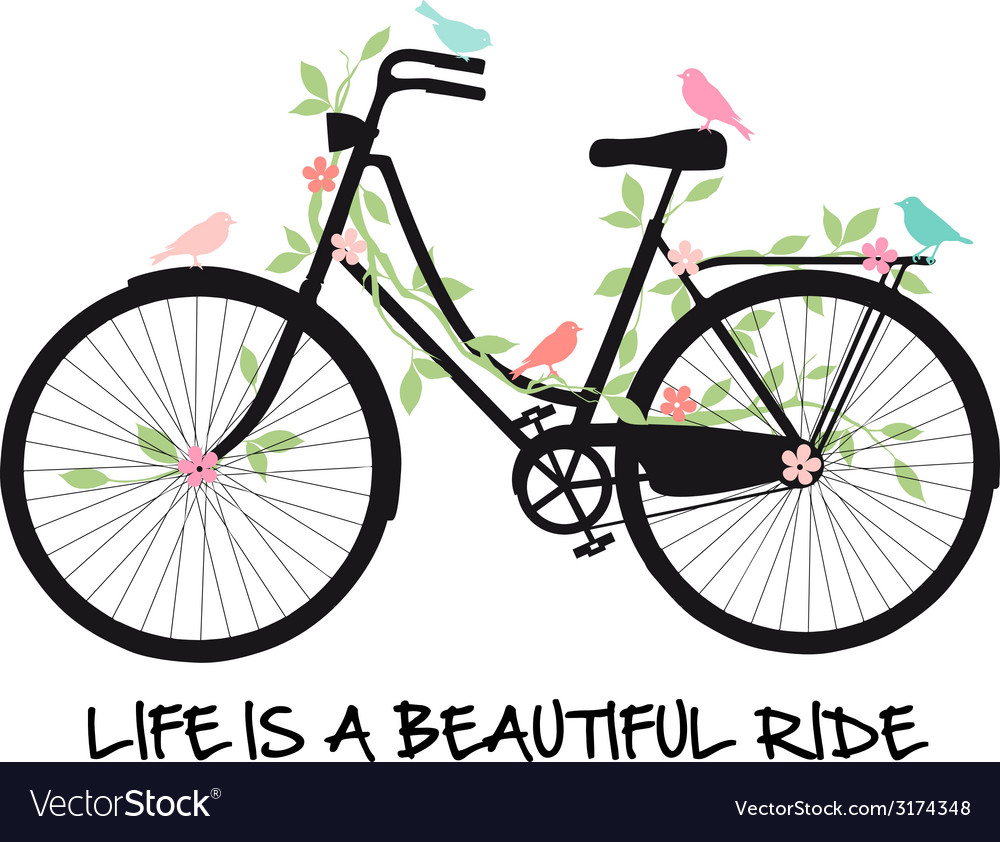 Download Life is a beautiful ride vintage bicycle Vector Image