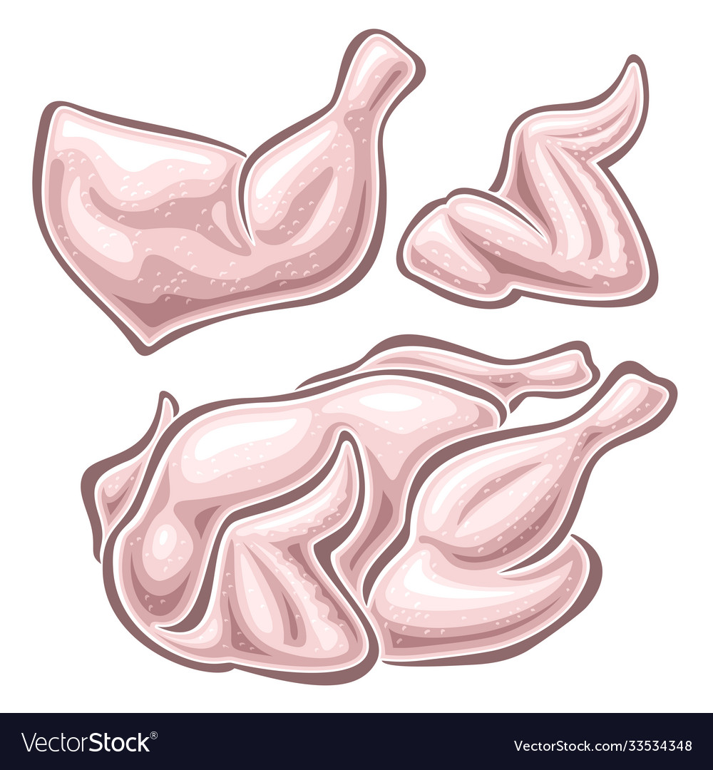 Set Raw Chicken Meat Royalty Free Vector Image