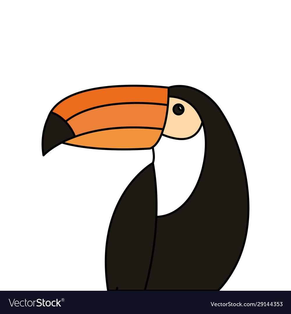 Toucan Tier exotische isolierte Ikone