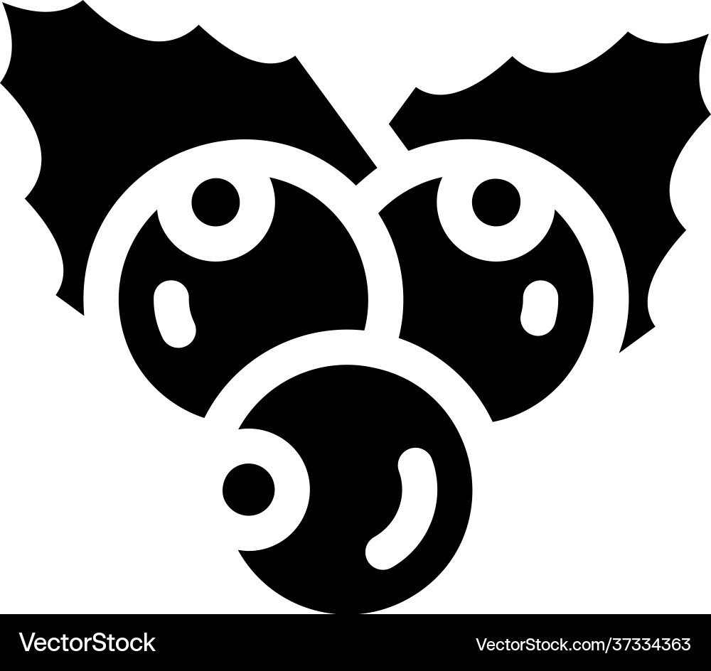 Mistletoe Royalty Free Vector Image - VectorStock