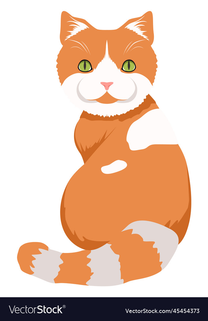 Funny tabby cat ginger pet fluffy animal Vector Image