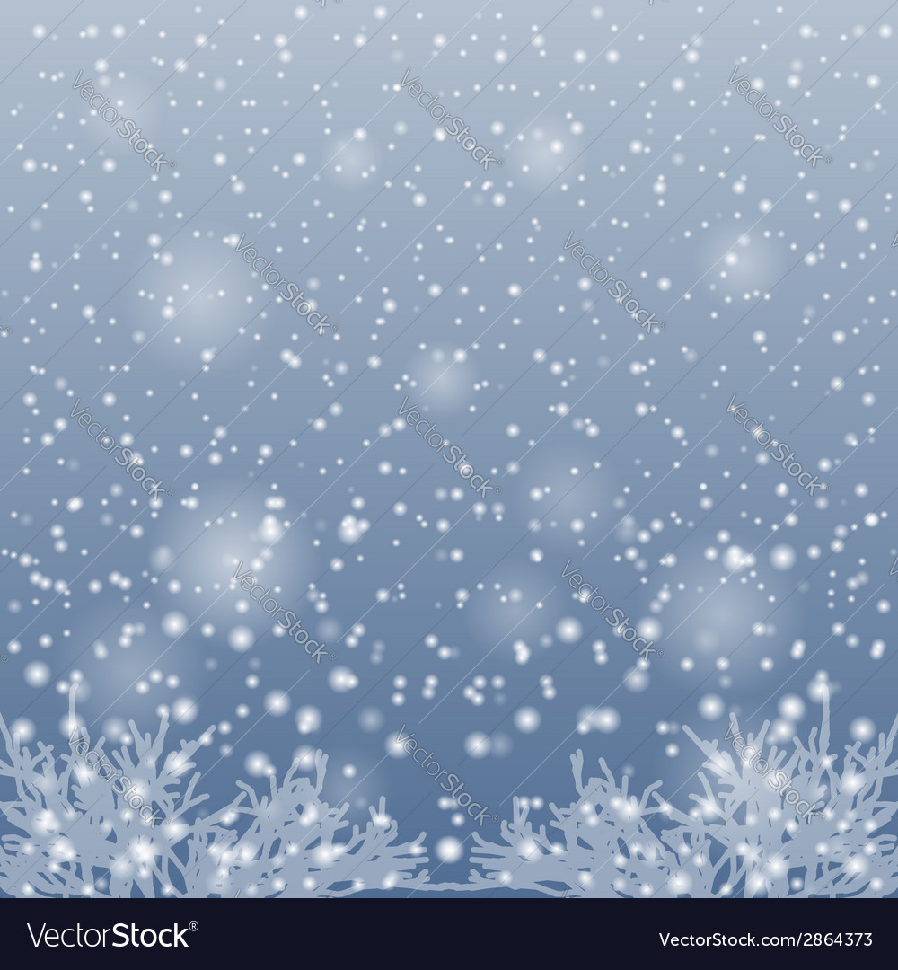 Snow Falling On Branches Trees Royalty Free Vector Image