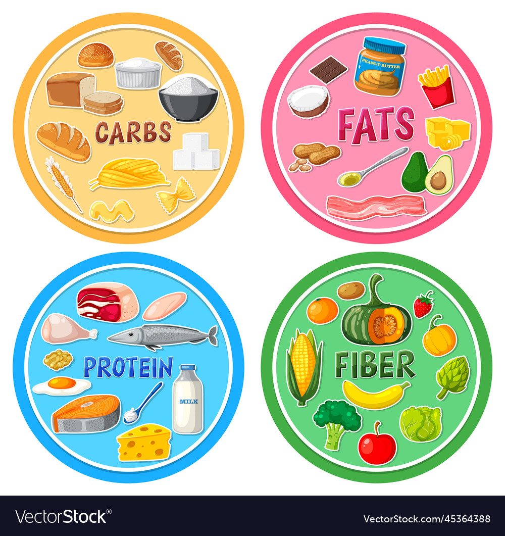 Four main food groups Royalty Free Vector Image