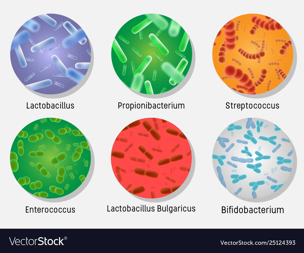 Bacterial flora in circle set isolated Royalty Free Vector