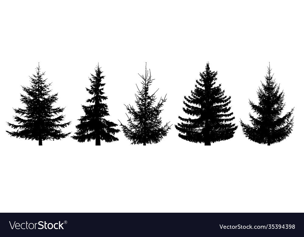 Forest trees set isolated silhouette christmas Vector Image