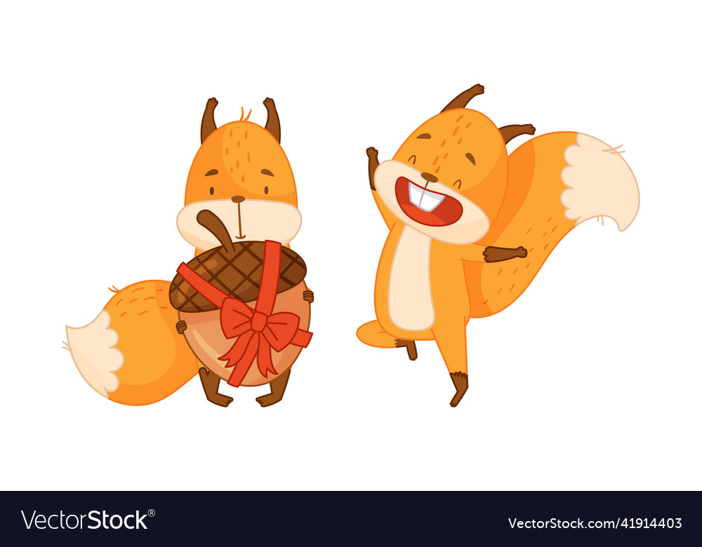 Adorable funny red squirrel forest animal vector image Adorable funny red squirrel forest animal
