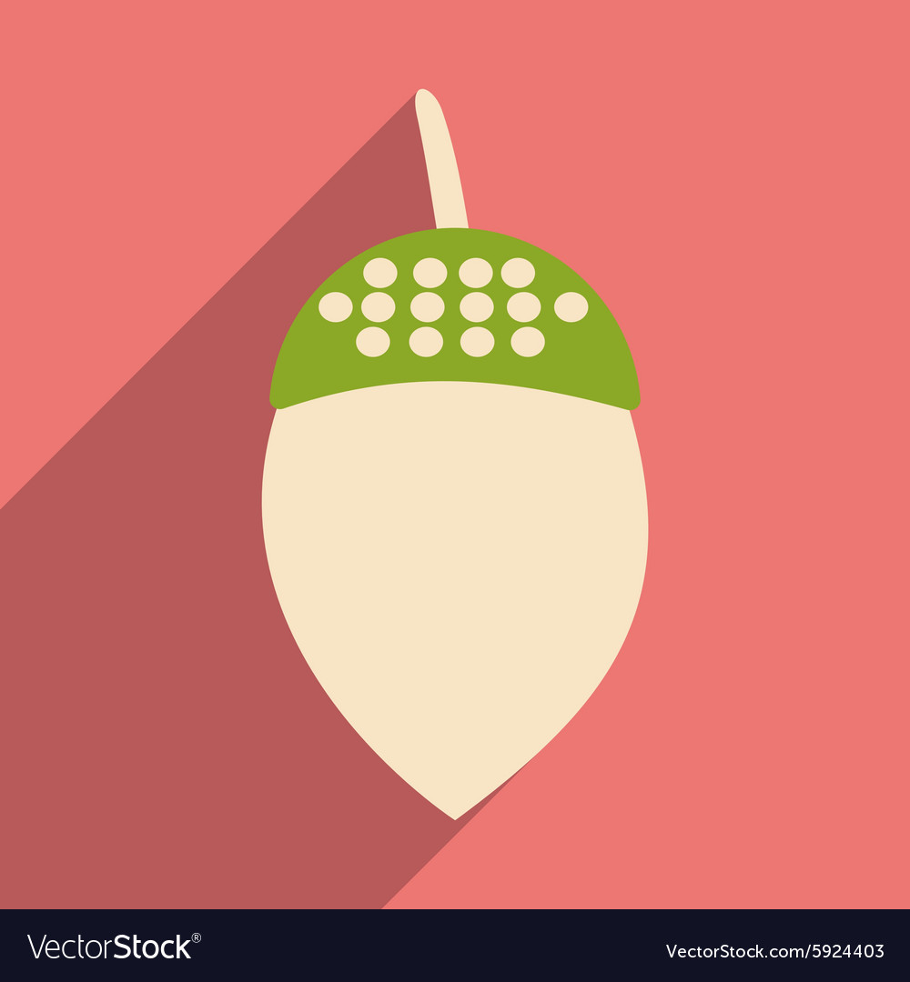 Flat with shadow icon and mobile application acorn