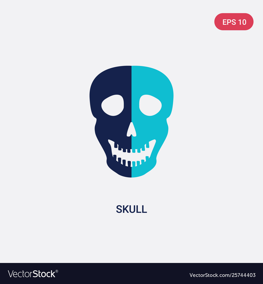 Two color skull icon from history concept