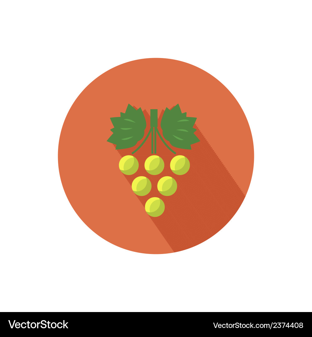 Grapes icon Royalty Free Vector Image - VectorStock