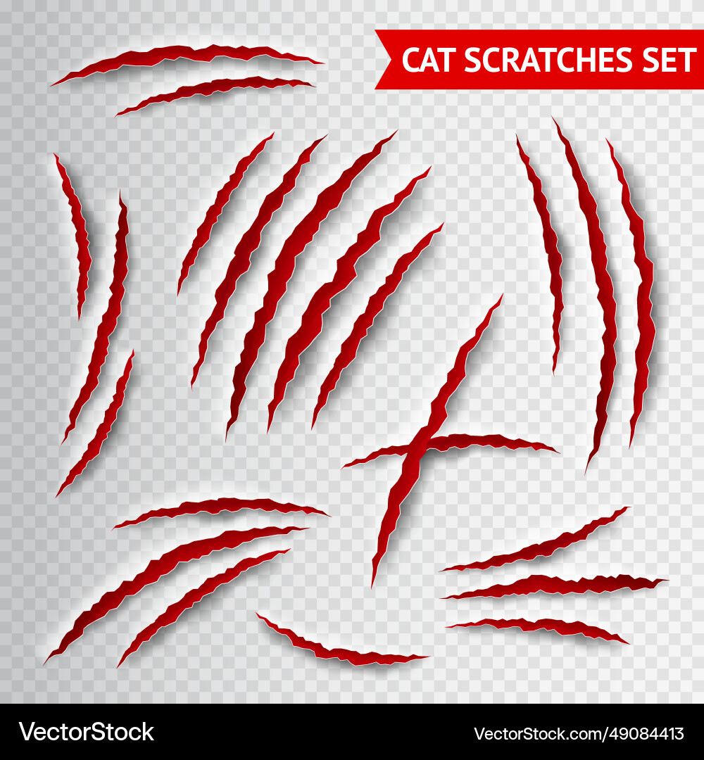 Cat scratches transparent Royalty Free Vector Image