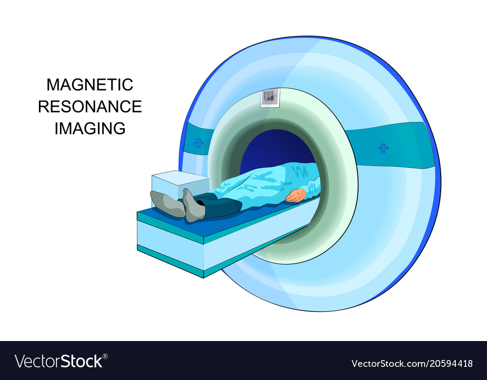 Magnetic Resonance Imaging Royalty Free Vector Image 7685