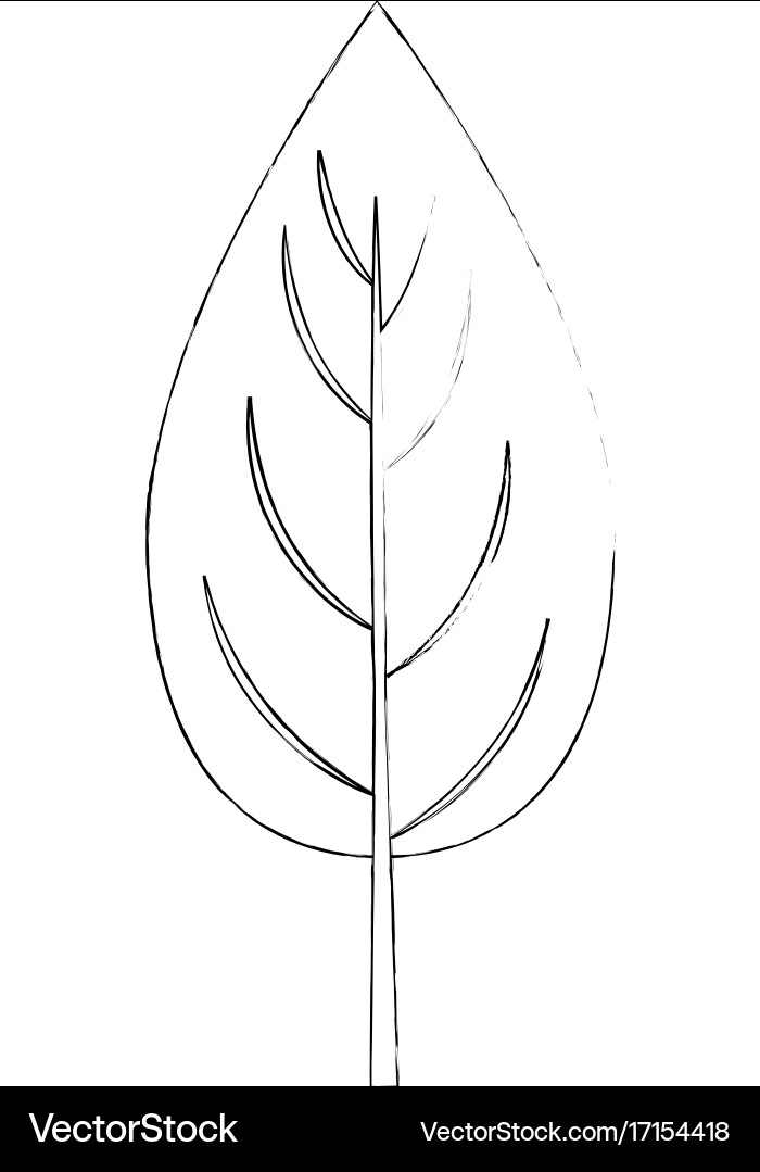 Spinach leaf icon Royalty Free Vector Image - VectorStock