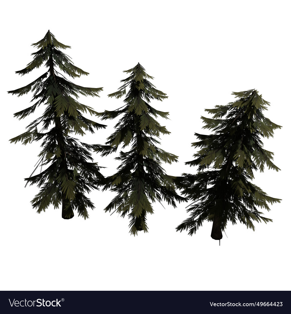 Fir Tree 1 Royalty Free Vector Image - Vectorstock