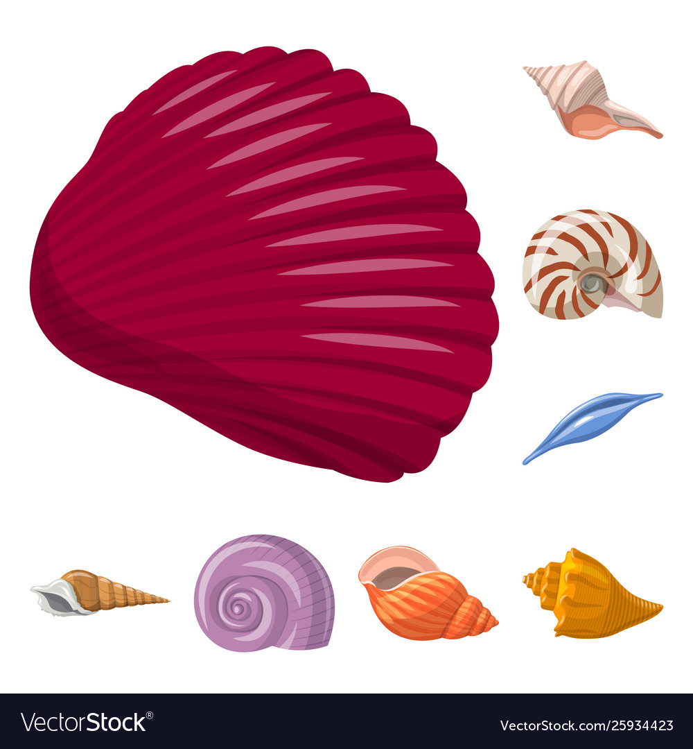 Isolated object seashell and mollusk icon set