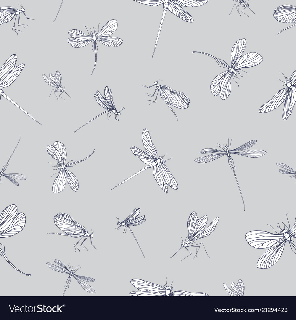 Seamless pattern with dragonflies hand drawn Vector Image