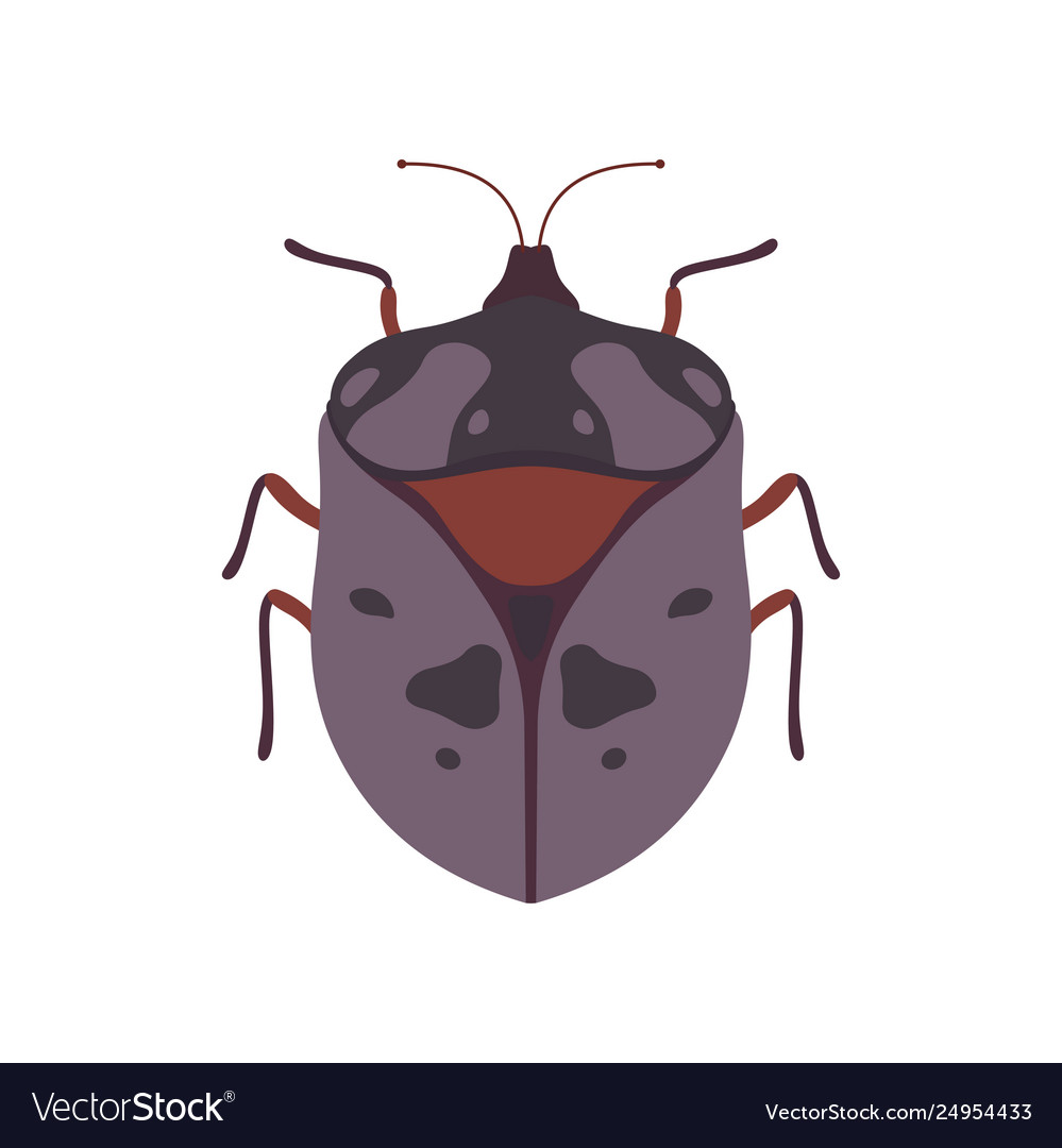 View bug