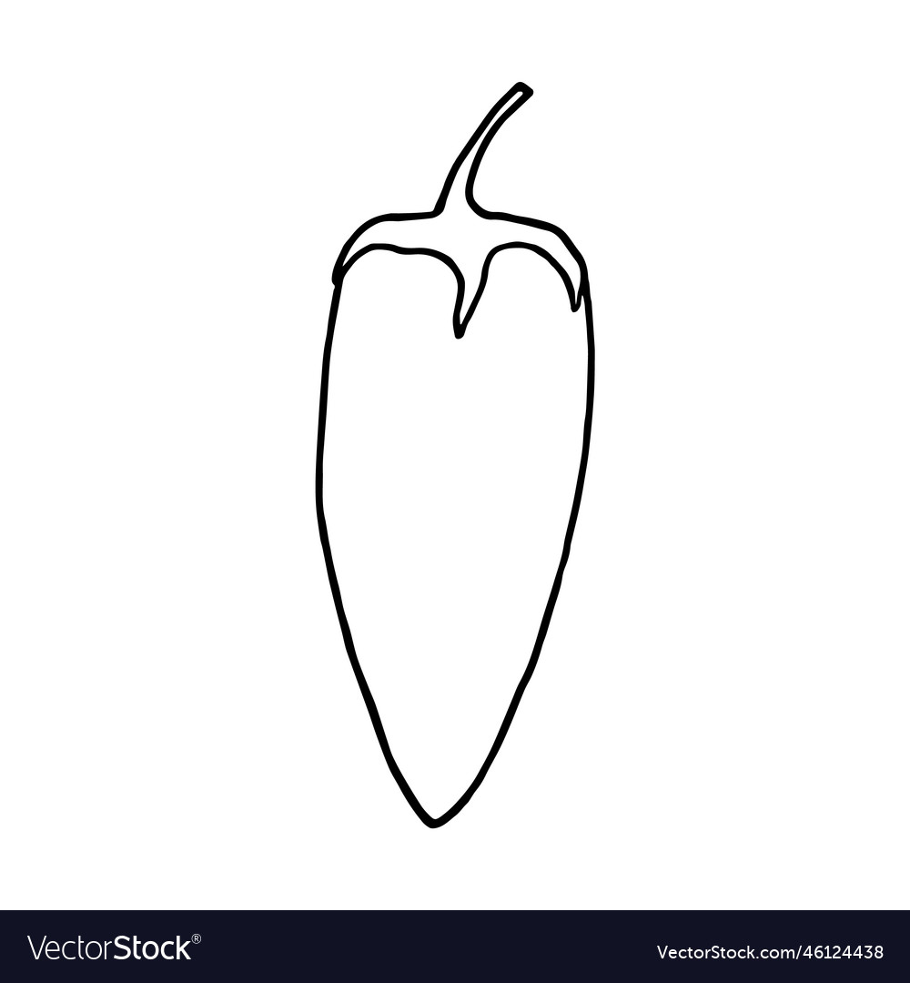 Bell pepper in doodle style