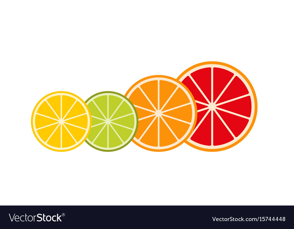 Collection of citrus slices grapefruit lime