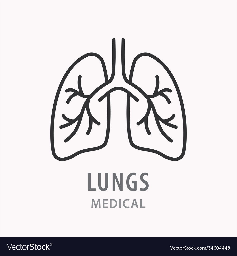 Human lungs line icon on white background Vector Image