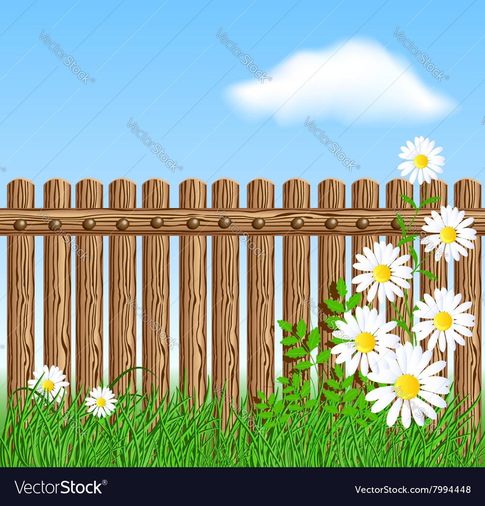 Wooden fence on green grass with daisy Royalty Free Vector