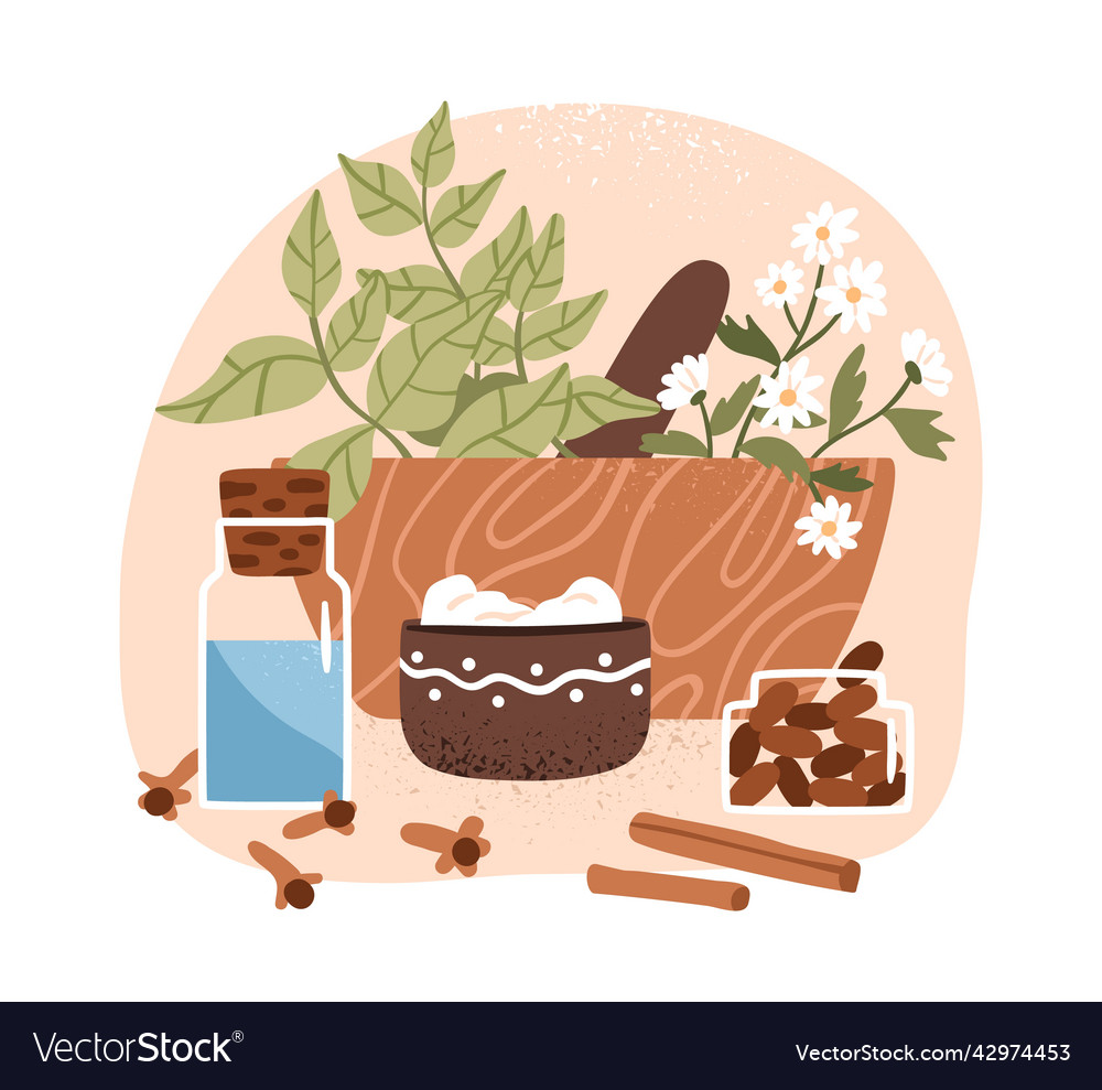 Aromatic herbal plants with healing leaf flowers Vector Image