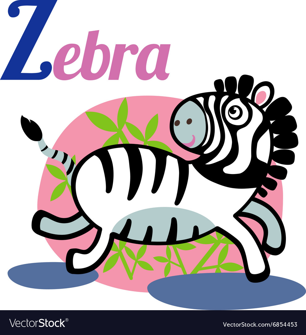 Zebra