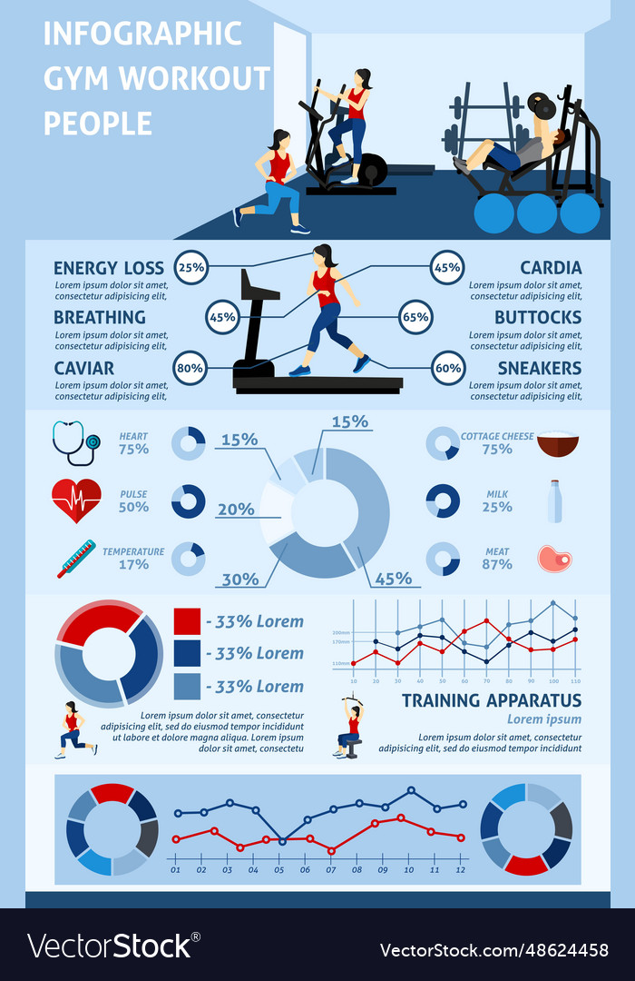 Gym workout infographics Royalty Free Vector Image