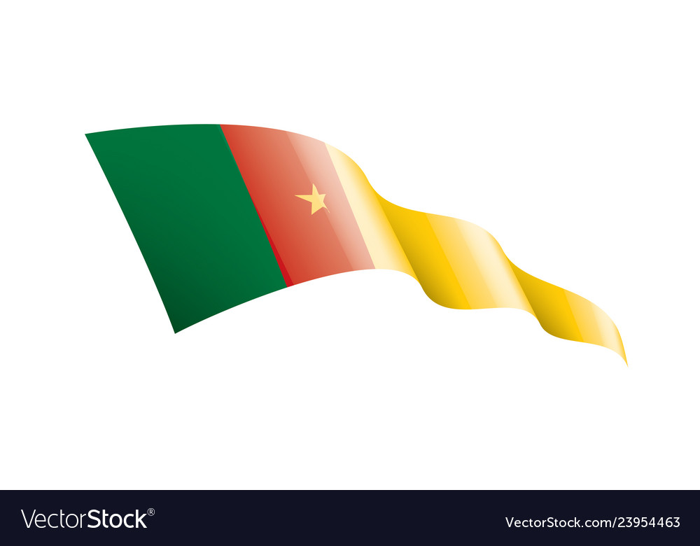 Cameroon flag on a white Royalty Free Vector Image