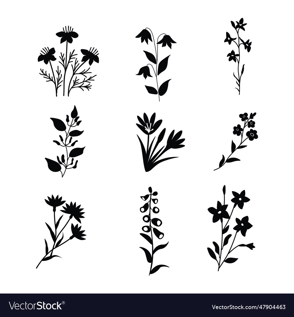 Isolated floral set Royalty Free Vector Image - VectorStock