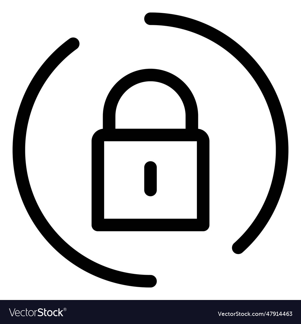 Padlock system for safeguarding and privacy Vector Image