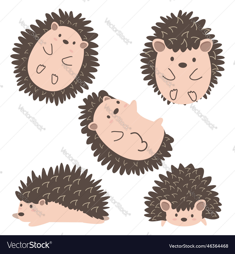 Cute hedgehog or porcupine animal set Royalty Free Vector