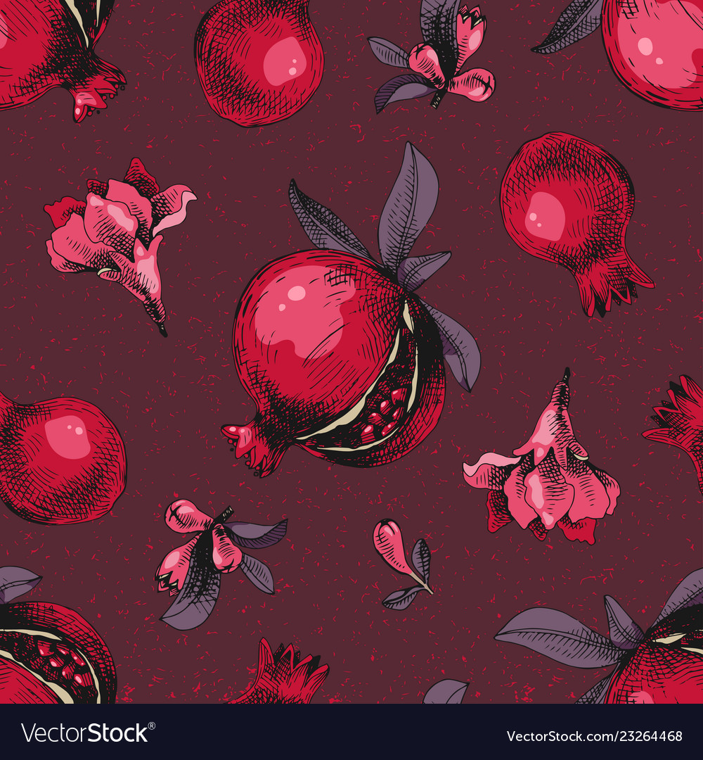 Seamless pattern with hand drawn pomegranates vector image Seamless pattern with hand drawn pomegranates