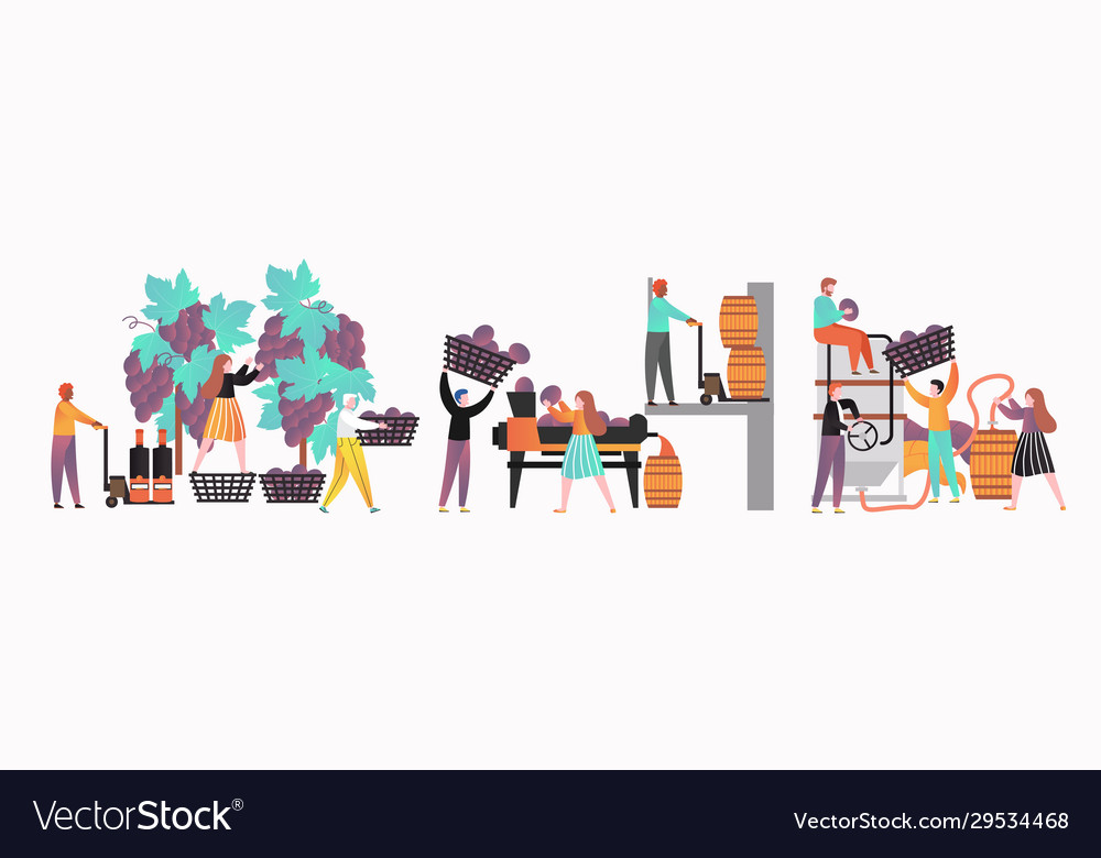 Wine Making Concept For Web Banner Website Vector Image