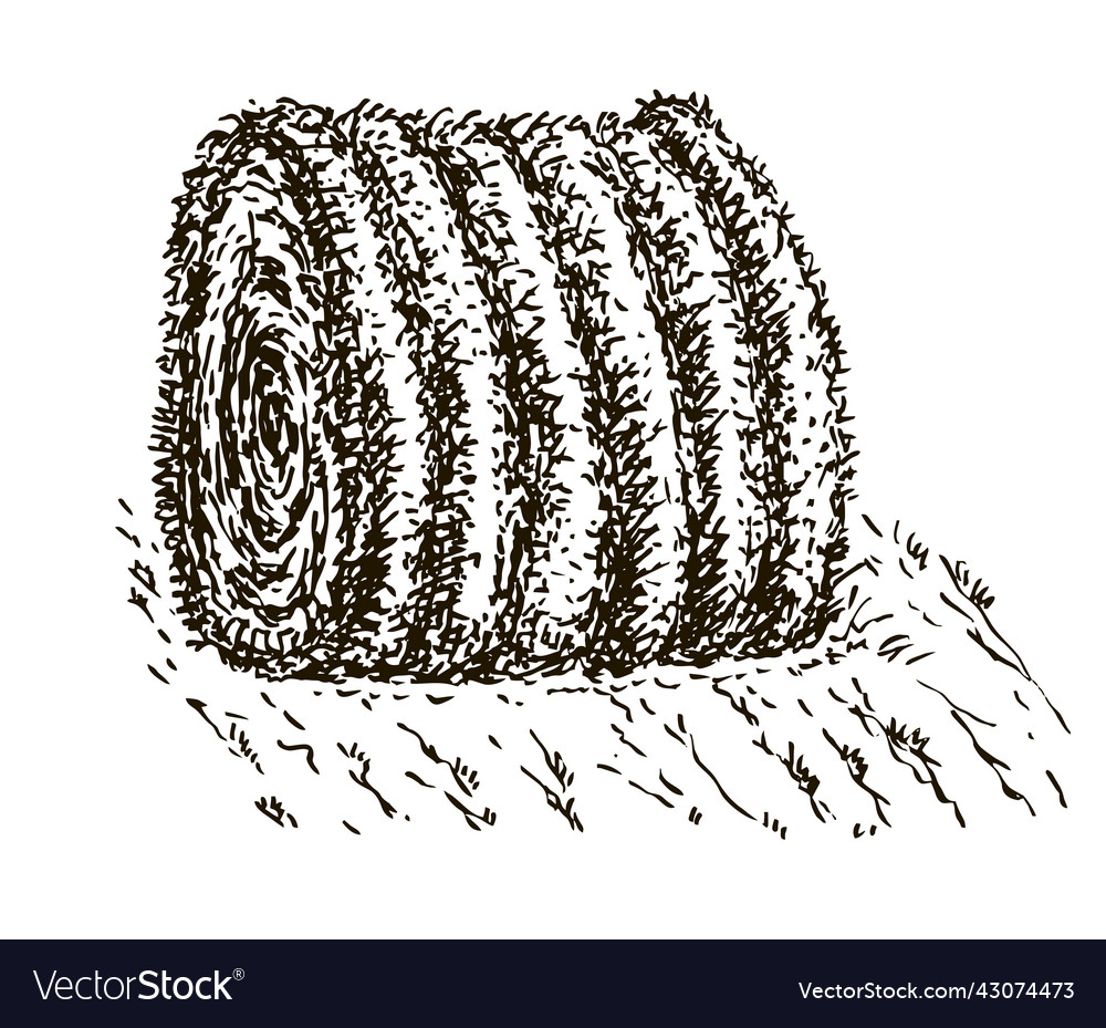 Rolled hay icon stack of dry field grass Vector Image