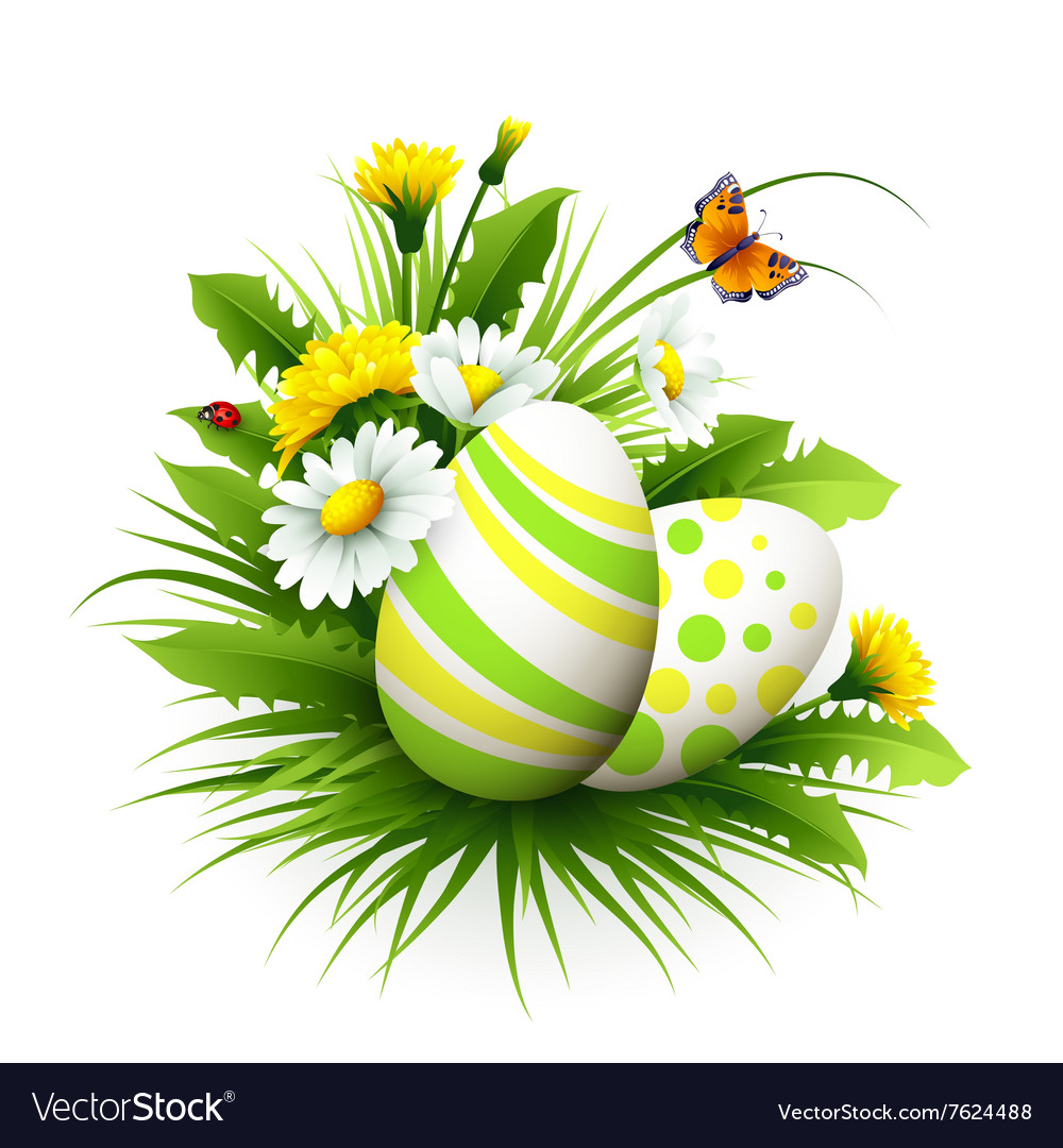 Easter card with eggs and flowers Royalty Free Vector Image